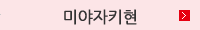미야자키현